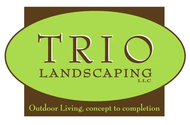Professional yard cleanup service in Minneapolis, MN by Trio Landscaping