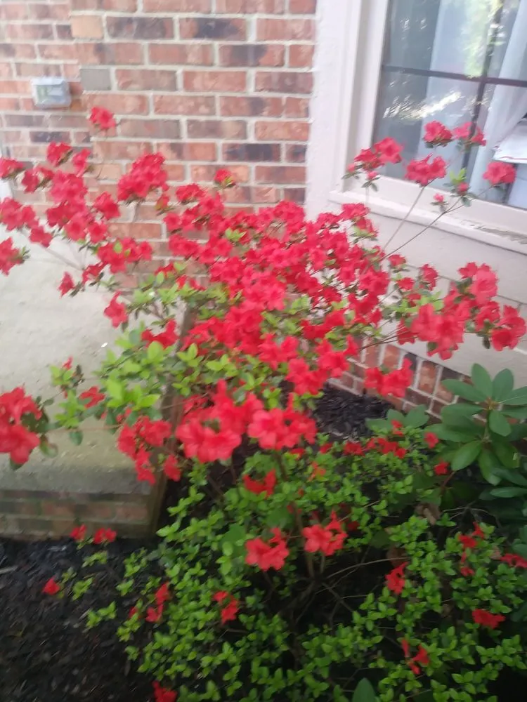 Custom landscape design for homes in Lenox, MI by Trio Outdoor Maintenance