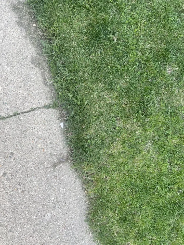 Reliable yard maintenance in Cuba, IL by Trio Trims & Handyman Services