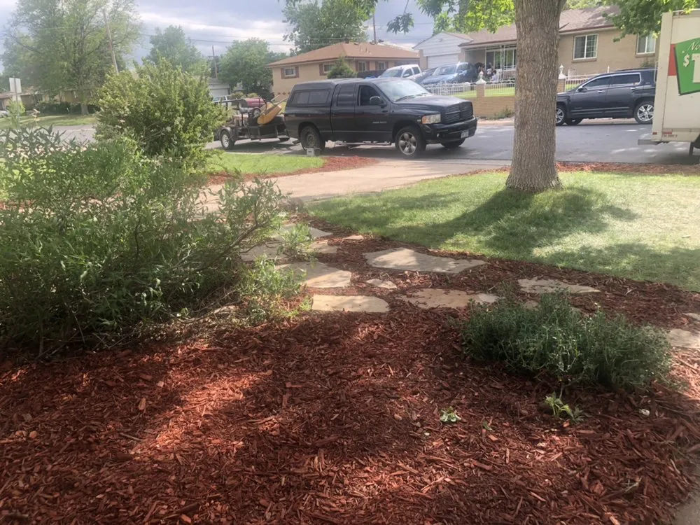 Custom yard maintenance in Edgewater, CO by Trione’s Landscaping and Fencing