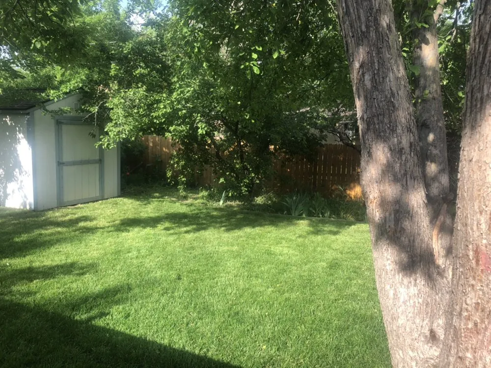 Custom yard cleanup service near you across Edgewater, CO - Trione’s Landscaping and Fencing