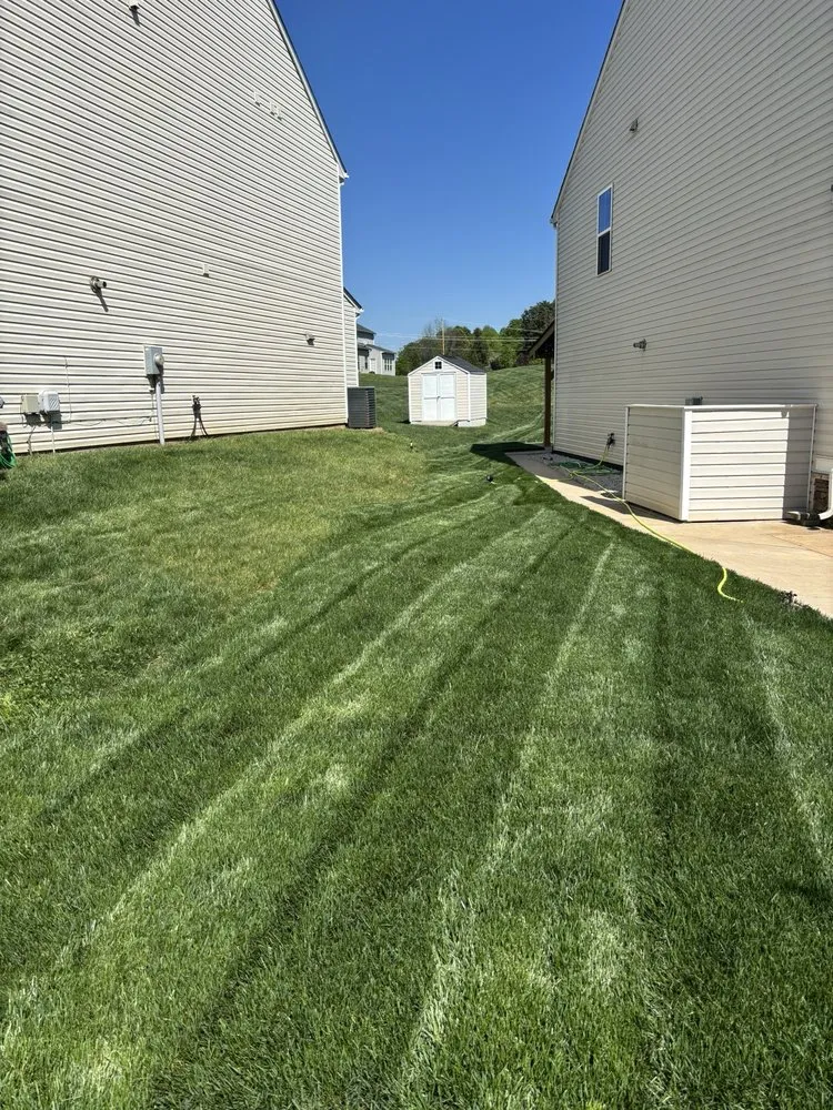 Affordable landscaping services in Belmont, NC - Trip Triple Earth Drainage & Grading Solutions