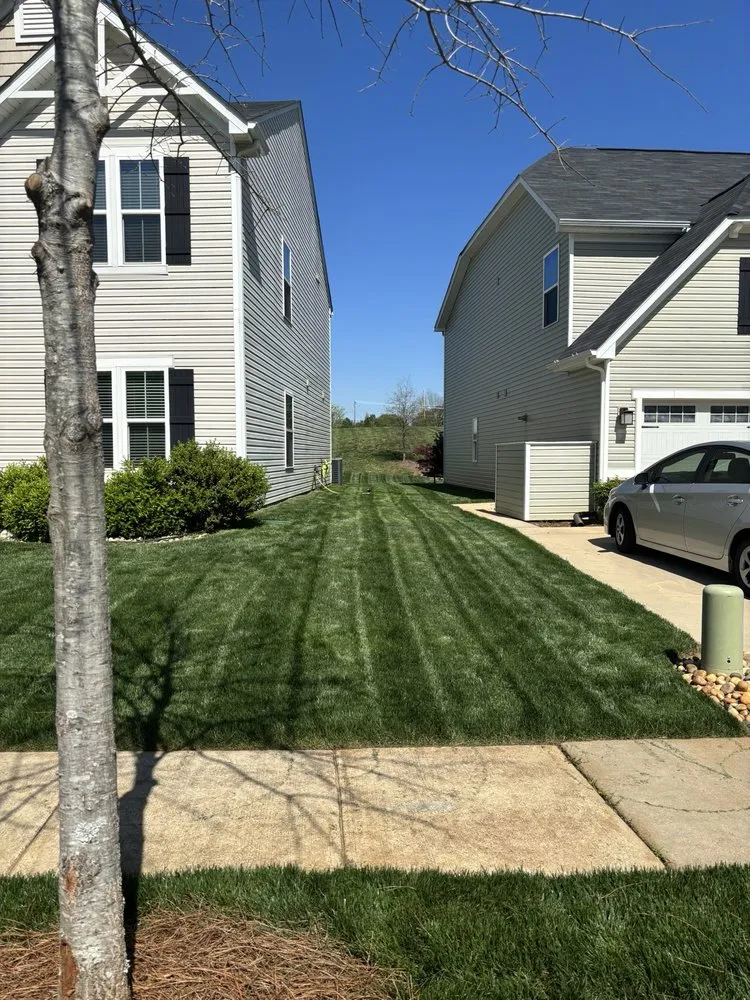 Reliable yard maintenance in Belmont, NC by Trip Triple Earth Drainage & Grading Solutions