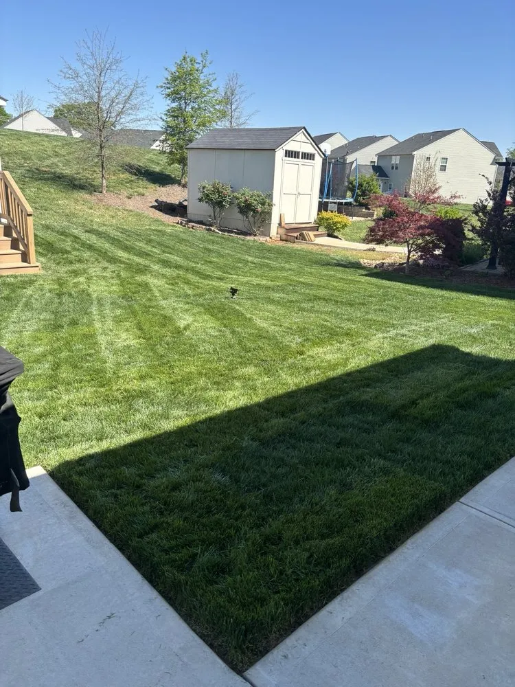 Professional landscaping services experts serving Belmont, NC - Trip Triple Earth Drainage & Grading Solutions