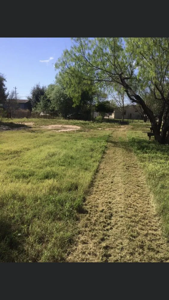 Reliable lawn mowing service in Laredo, TX - Triple 333’s