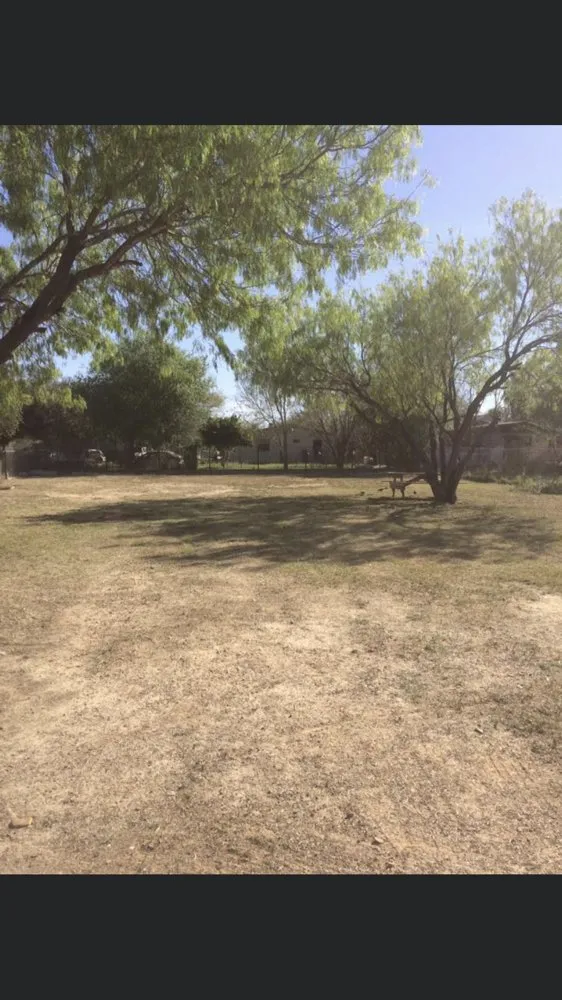 Top-rated landscaping services in Laredo, TX by Triple 333’s