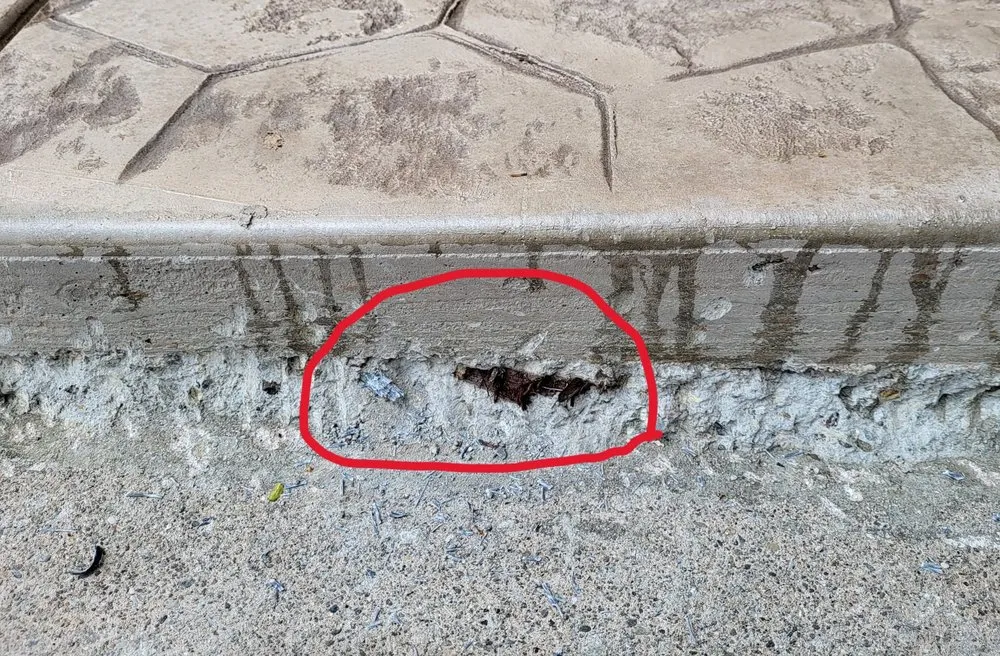 Expert residential landscaping in Hayward, CA by Triple A Builders