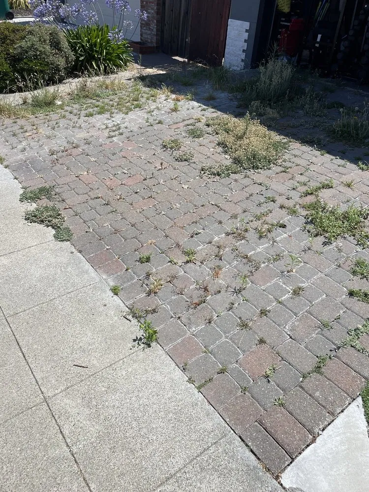 Custom lawn mowing service for homes in Hayward, CA by Triple A Builders