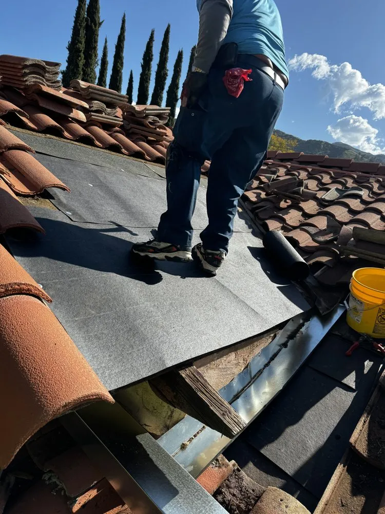 Local landscaping services for year-round maintenance across San Jacinto, CA - Triple A Construction