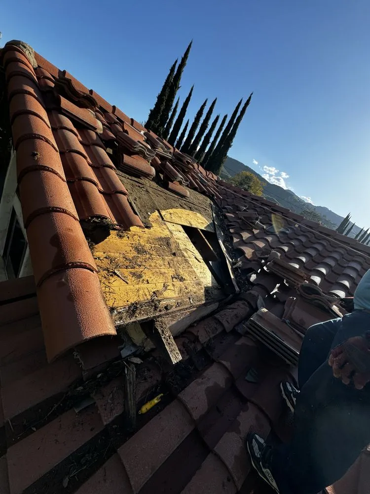 Trusted landscape design near you in San Jacinto, CA by Triple A Construction