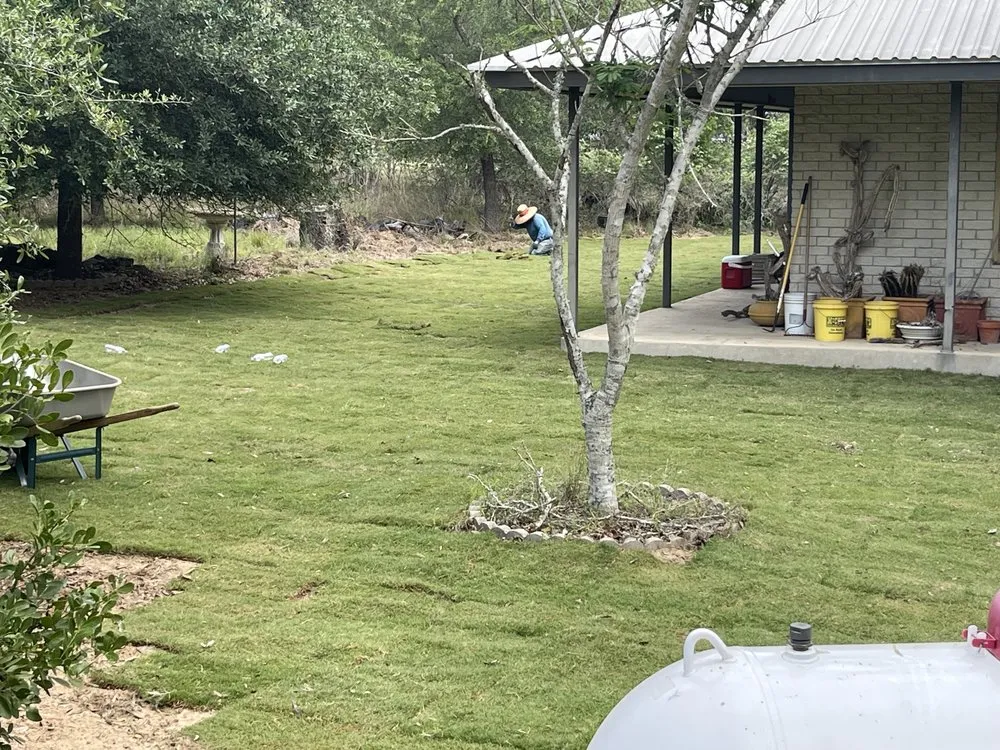 Expert landscape design for beautiful yards in San Antonio, TX by Triple A Grass