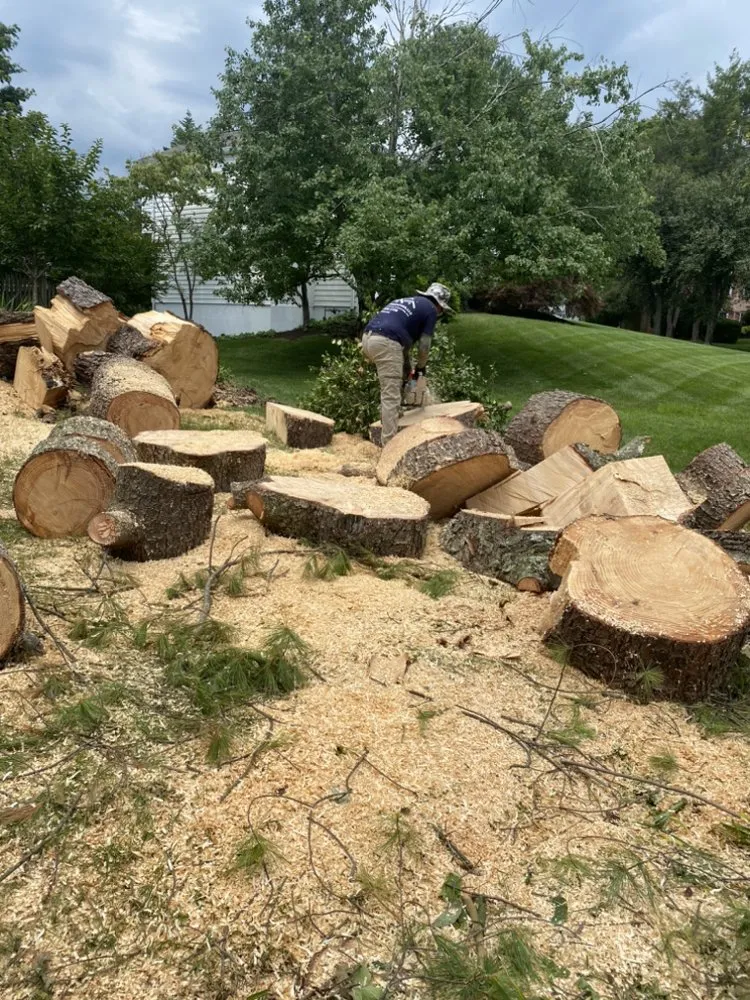 Professional landscape installation experts serving Laurel, MD - Triple A Landscaping