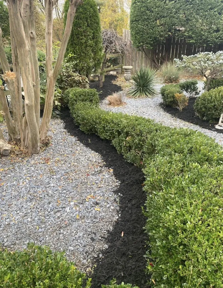 Reliable yard cleanup service in Laurel, MD by Triple A Landscaping