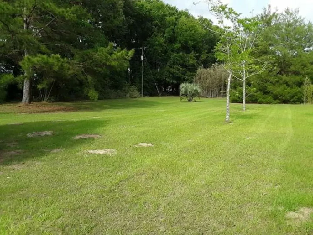 Affordable yard cleanup service experts serving Belleview, FL - Triple A Lawn Care