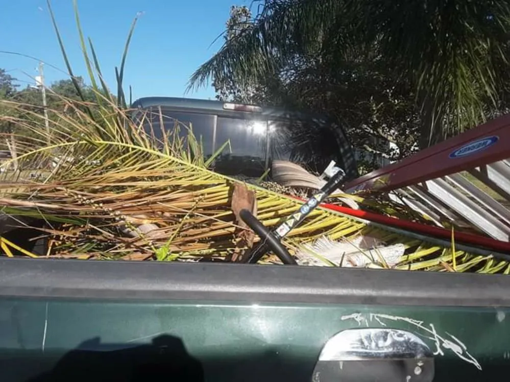 Top-rated yard cleanup service experts serving Belleview, FL - Triple A Lawn Care