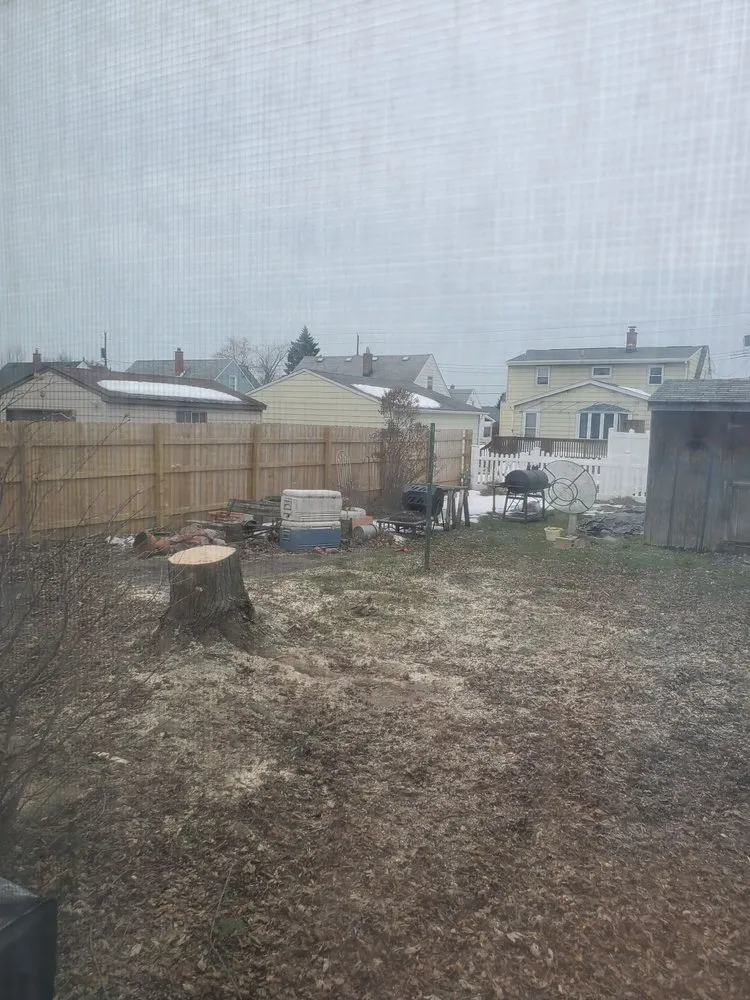 Custom yard maintenance in Tonawanda, NY - Triple A Tree Care And Landscaping