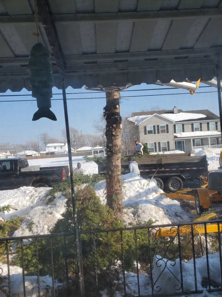 Professional yard maintenance near you across Tonawanda, NY - Triple A Tree Care And Landscaping