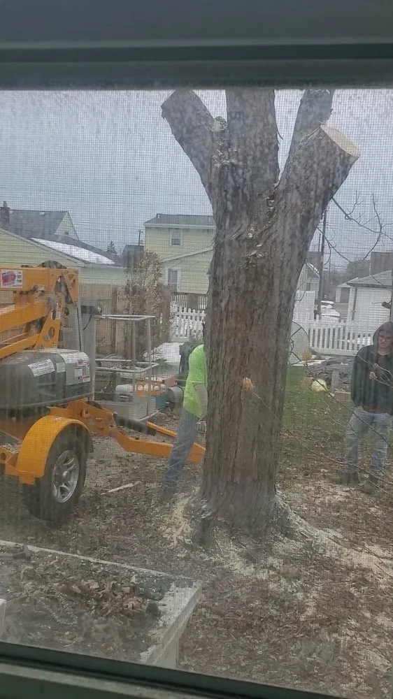 Top-rated outdoor landscaping for residential properties across Tonawanda, NY - Triple A Tree Care And Landscaping