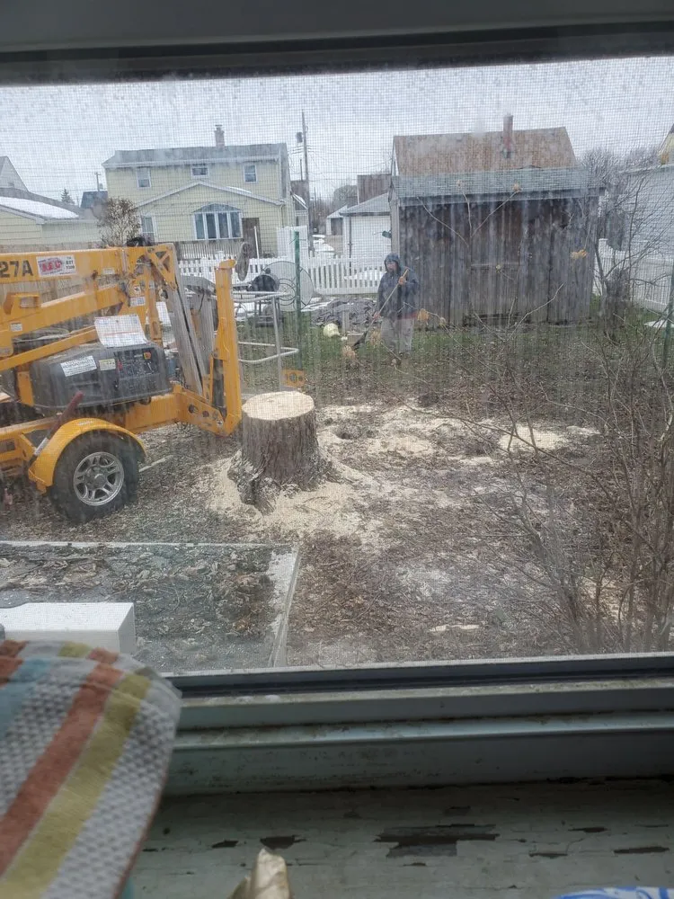 Reliable yard cleanup service in Tonawanda, NY - Triple A Tree Care And Landscaping