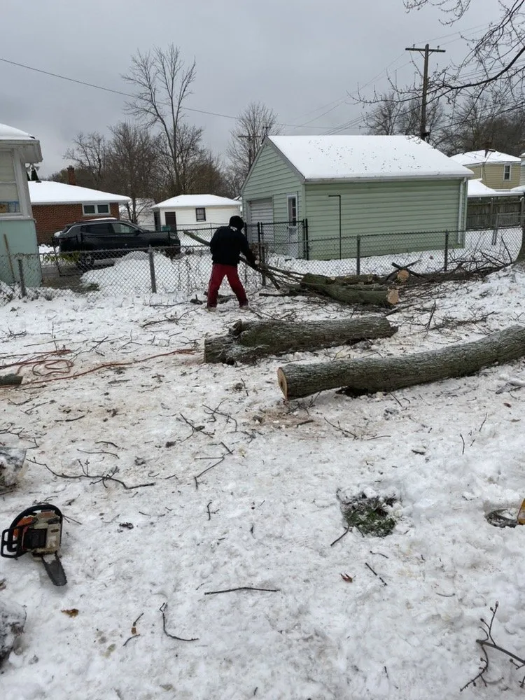 Reliable lawn mowing service experts serving Tonawanda, NY - Triple A Tree Care And Landscaping