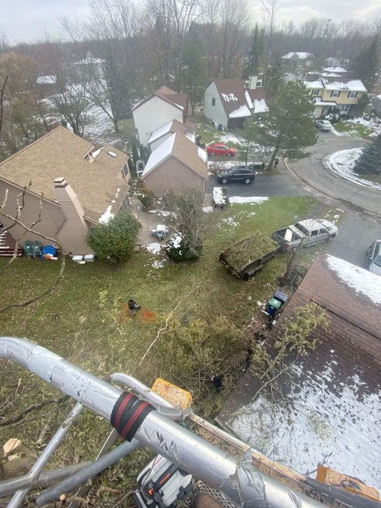 Reliable lawn care service in Tonawanda, NY by Triple A Tree Care And Landscaping