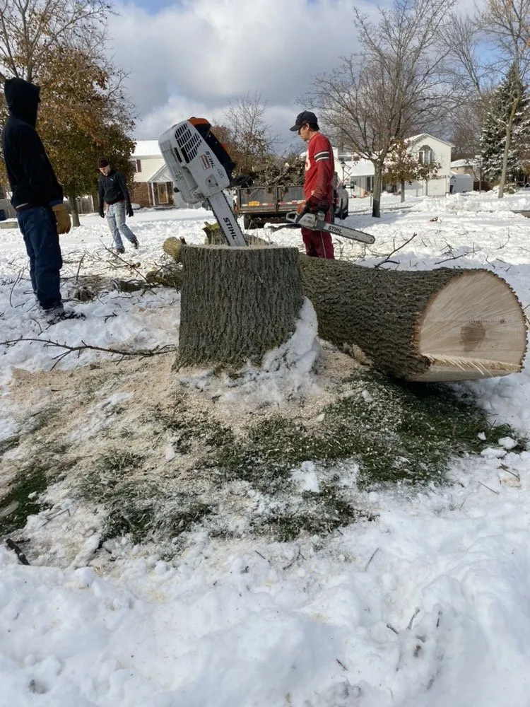 Expert landscape design in Tonawanda, NY - Triple A Tree Care And Landscaping