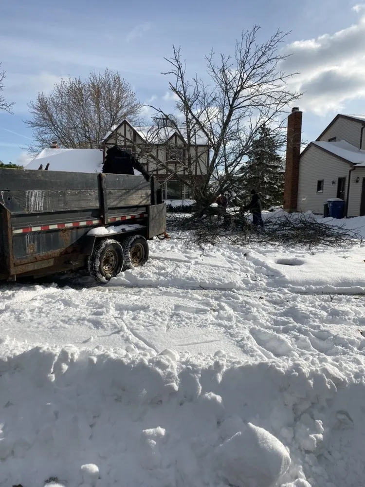 Local landscaping services experts serving Tonawanda, NY - Triple A Tree Care And Landscaping