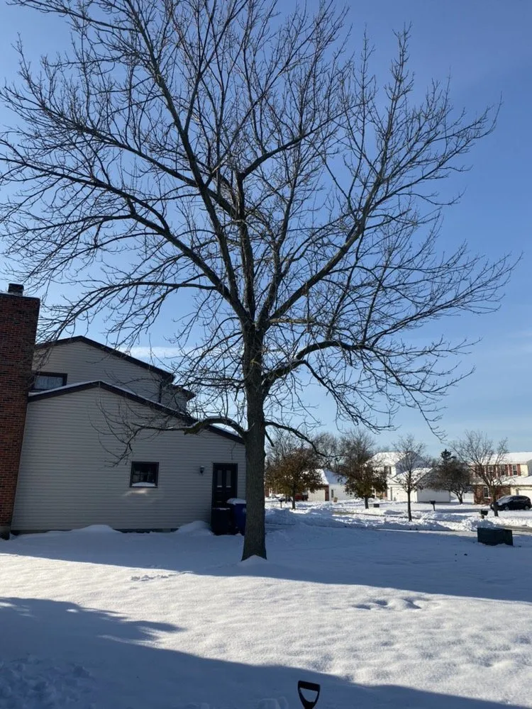 Trusted landscaping services in Tonawanda, NY - Triple A Tree Care And Landscaping