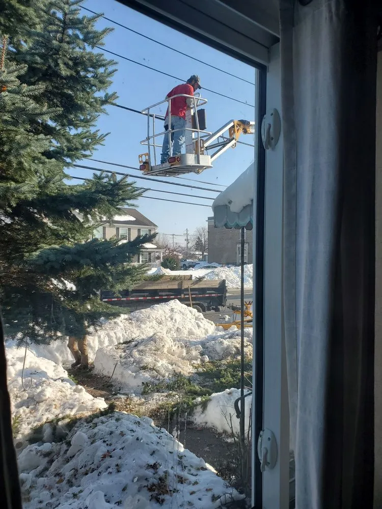 Top-rated outdoor landscaping in Tonawanda, NY - Triple A Tree Care And Landscaping