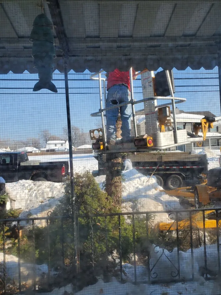 Affordable garden landscaping in Tonawanda, NY by Triple A Tree Care And Landscaping