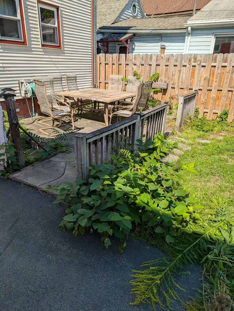 Reliable garden landscaping experts serving Tonawanda, NY - Triple A Tree Care And Landscaping