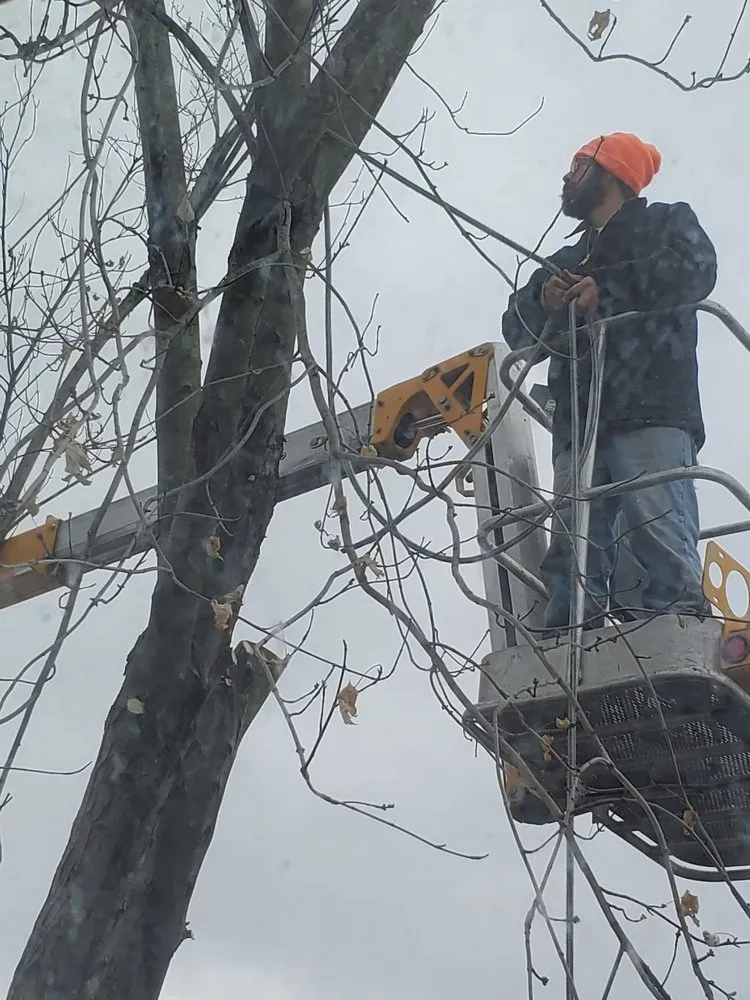 Reliable yard maintenance in Tonawanda, NY - Triple A Tree Care And Landscaping