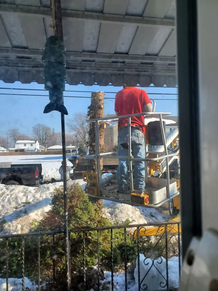 Professional residential landscaping in Tonawanda, NY by Triple A Tree Care And Landscaping