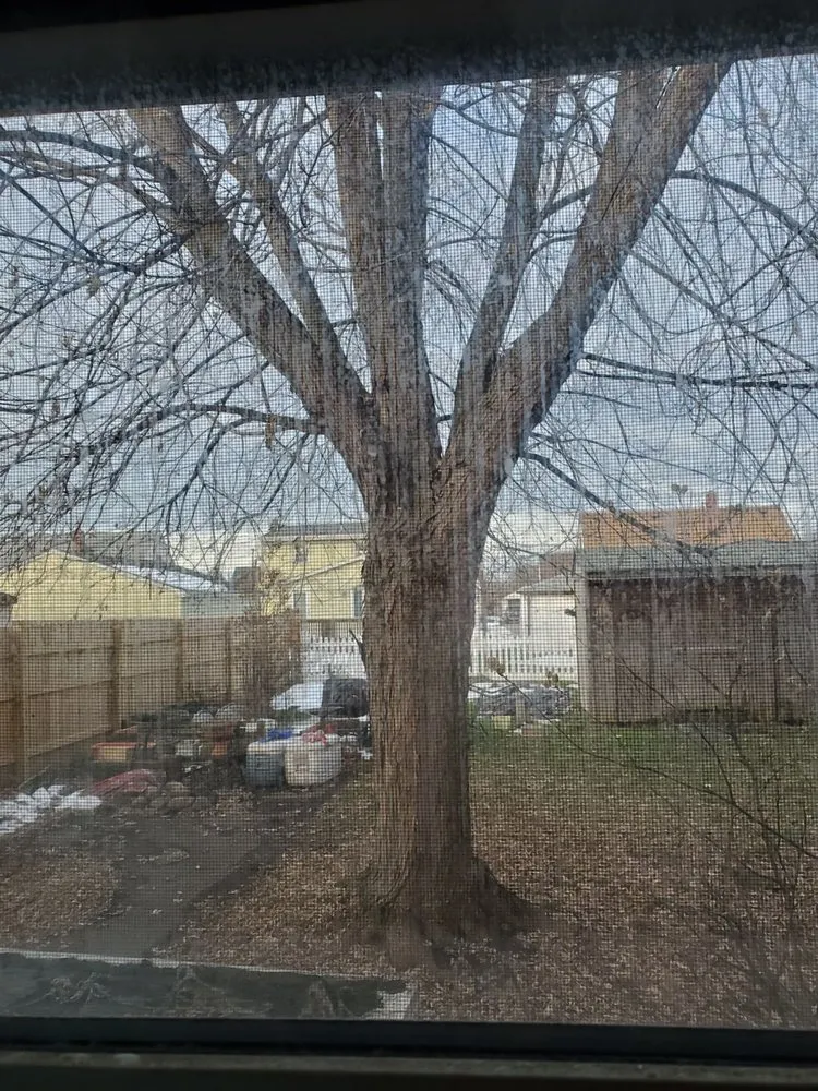 Reliable landscaping services for year-round maintenance across Tonawanda, NY - Triple A Tree Care And Landscaping