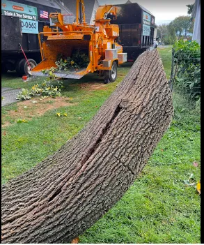 Custom garden landscaping near you in Langhorne, PA by Triple A Tree Service