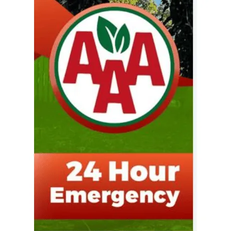 Top-rated landscape installation for homes across Langhorne, PA - Triple A Tree Service