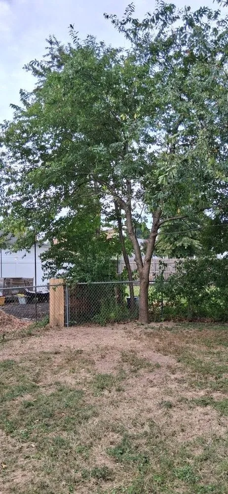 Reliable outdoor landscaping in Langhorne, PA - Triple A Tree Service