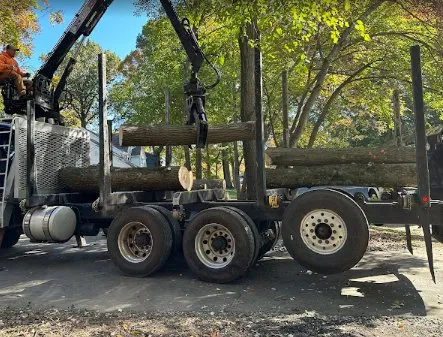 Top-rated residential landscaping in Langhorne, PA by Triple A Tree Service