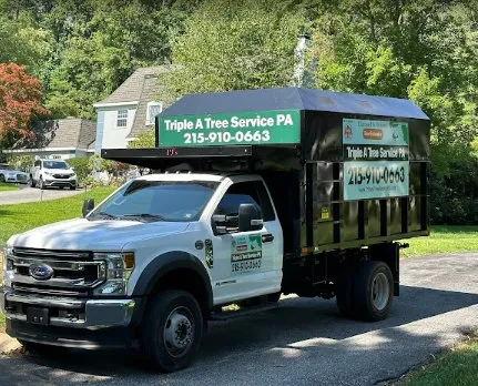 Trusted lawn mowing service experts serving Langhorne, PA - Triple A Tree Service