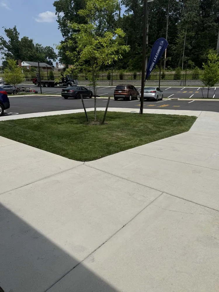 Trusted landscape design in Richmond, VA by Triple Aces Lawn Care