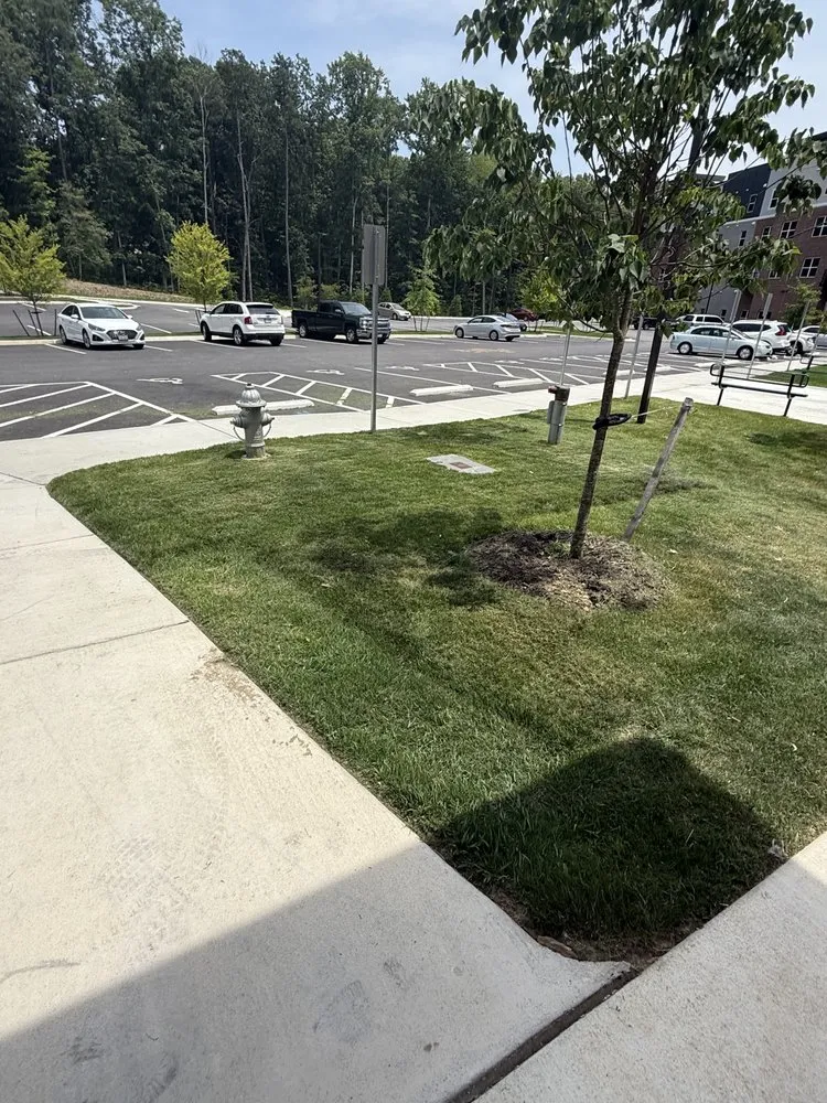 Professional garden landscaping near you in Richmond, VA by Triple Aces Lawn Care