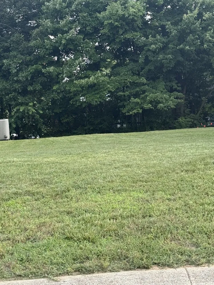 Reliable lawn care service for residential properties across Richmond, VA - Triple Aces Lawn Care