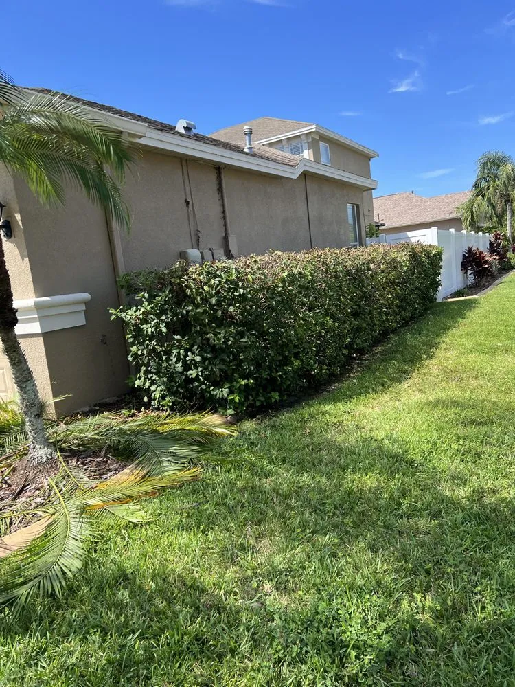 Custom lawn mowing service for year-round maintenance in Zephyrhills, FL by Triple A’s Cutz