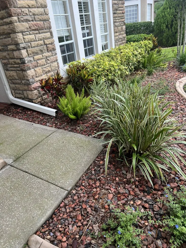 Custom residential landscaping near you across Zephyrhills, FL - Triple A’s Cutz