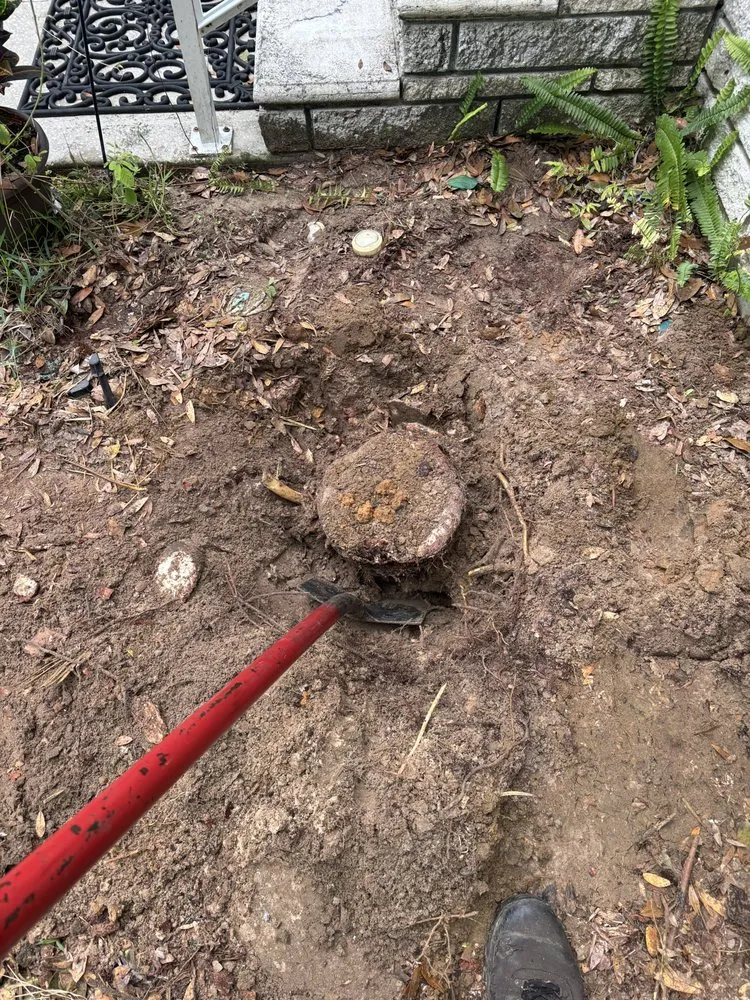 Local landscaping services experts serving Zephyrhills, FL - Triple A’s Cutz