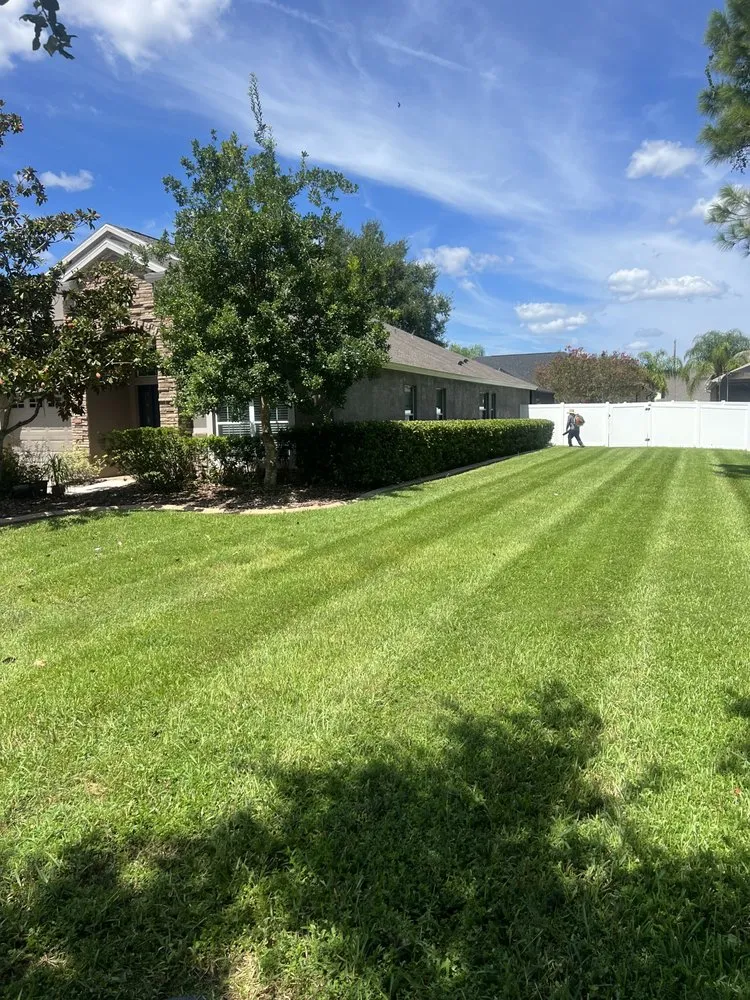 Local landscape design in Zephyrhills, FL - Triple A’s Cutz