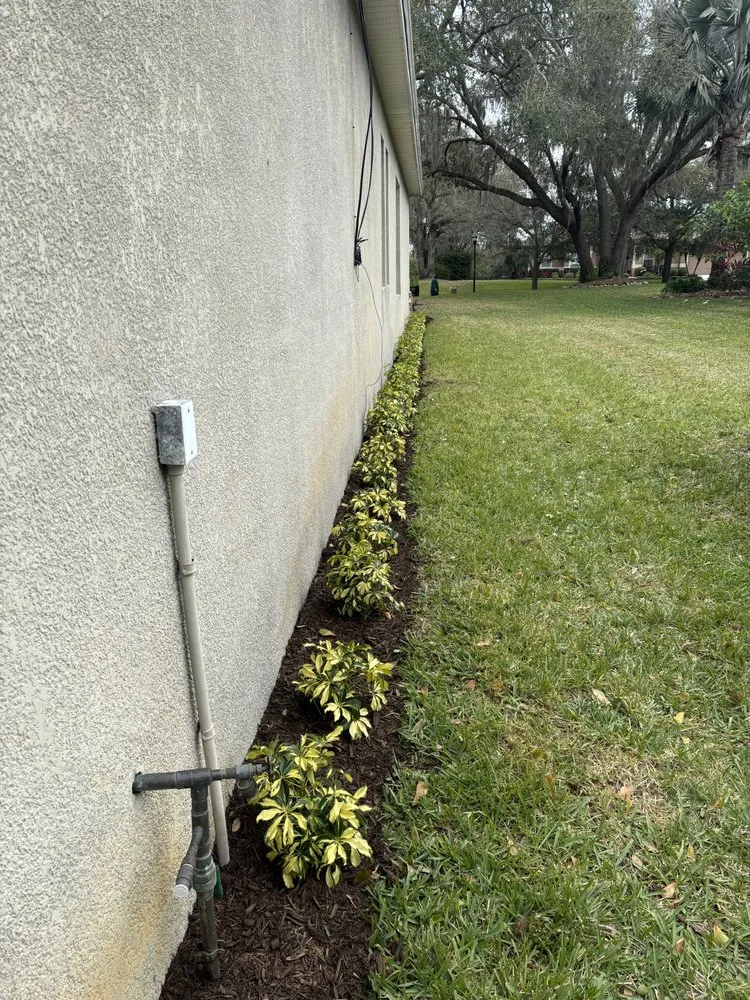 Professional residential landscaping experts serving Zephyrhills, FL - Triple A’s Cutz