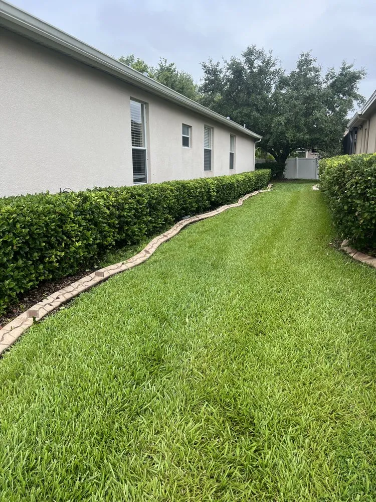 Expert yard cleanup service experts serving Zephyrhills, FL - Triple A’s Cutz