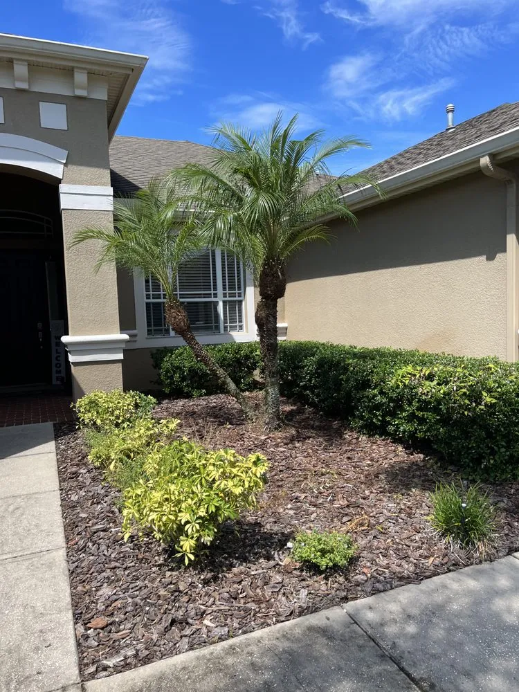 Local outdoor landscaping in Zephyrhills, FL - Triple A’s Cutz