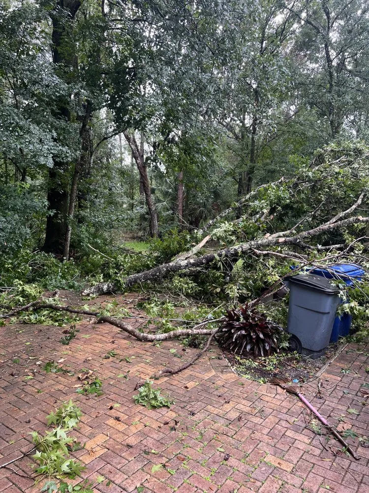 Trusted lawn care service in Zephyrhills, FL by Triple A’s Cutz